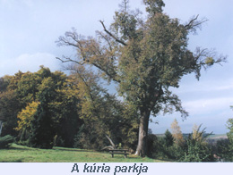 kurpark