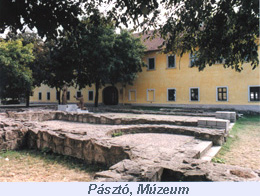 paszmuz