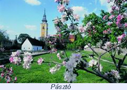 paszto